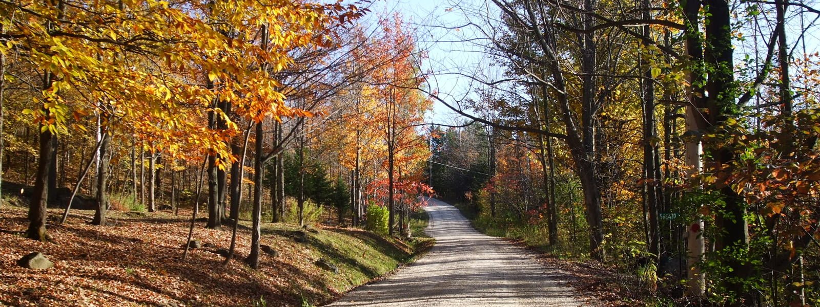 Where Houses will be for sale soon in Dundalk Ontario