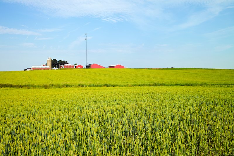 Chatsworth Real Estate Why So Many Are Buying Acreage