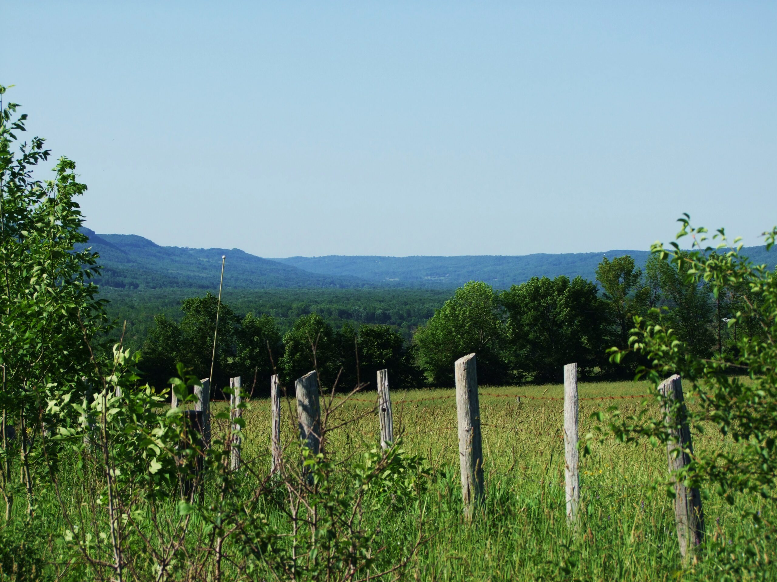 Beaver_Valley-ontario-real-estate-mark-murakami